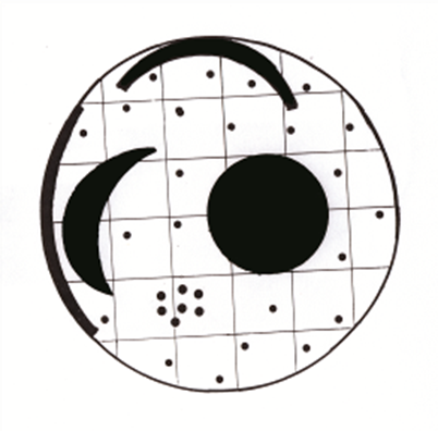 Spacing of the spots on the Nebra Sky Disc. Drawin