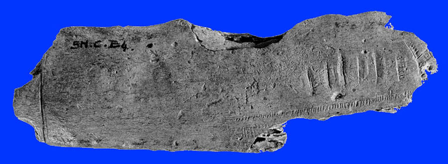 The reverse of the Thaïs bone, after Marshack 199