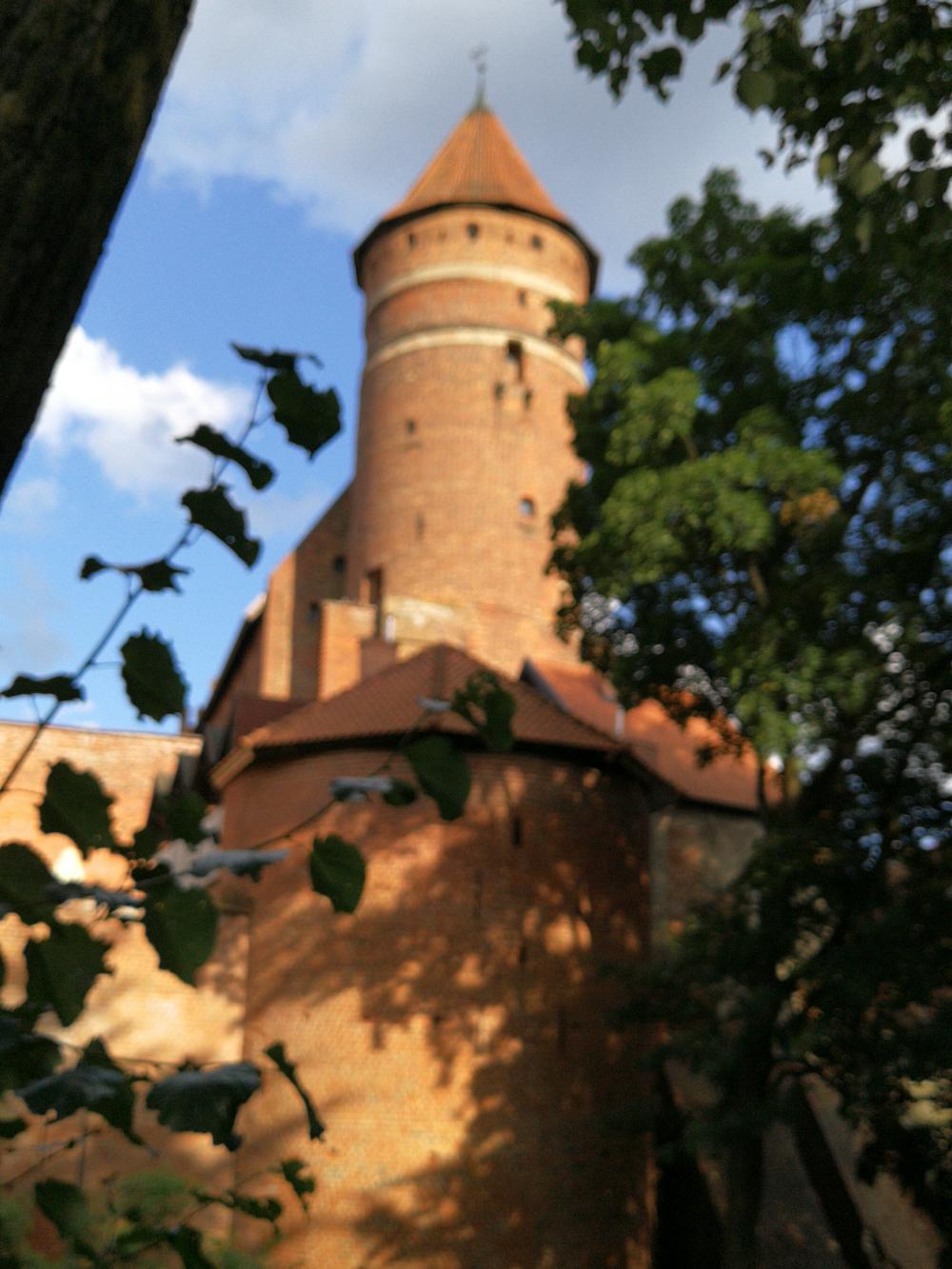 Castle Allenstein/Olsztyn (Photo: Gudrun Wolfschmi